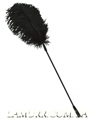 Метелка-страусиное ПЕРЫШКО черное